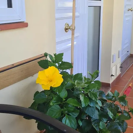 Siboramar L15 Diego Apartman Los Silos